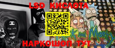 индика Кулебаки