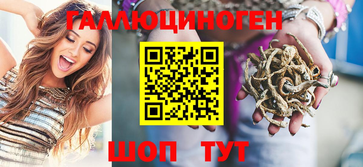Златоуст  Псилоцибиновые грибы мицелий  Вход с VPN 