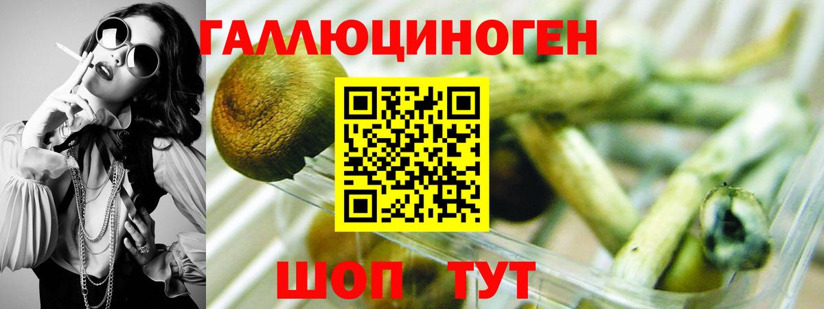 Псилоцибиновые грибы Magic Shrooms Златоуст